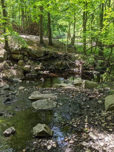 Flat Rock Brook Nature Center - Englewood, NJ
