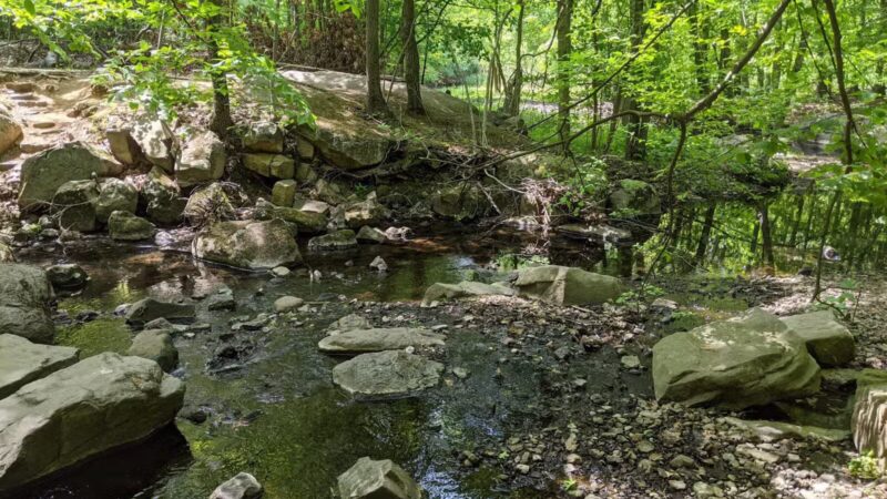 Flat Rock Brook Nature Center - Englewood, NJ