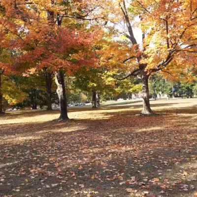 Morrow Park - Englewood, NJ