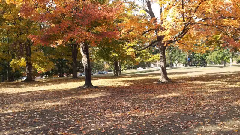 Morrow Park - Englewood, NJ