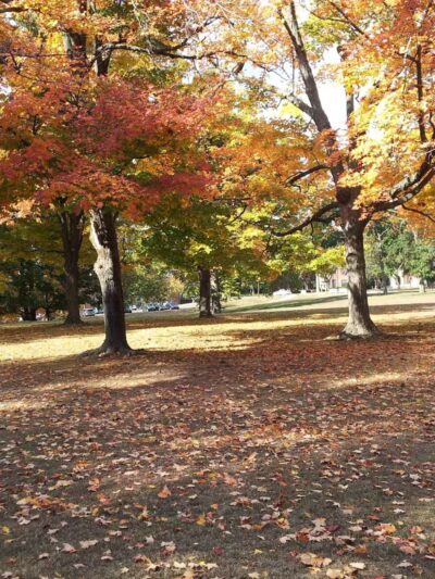 Morrow Park - Englewood, NJ