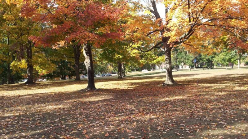 Morrow Park - Englewood, NJ