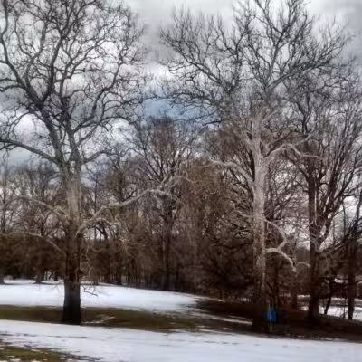 Morrow Park - Englewood, NJ