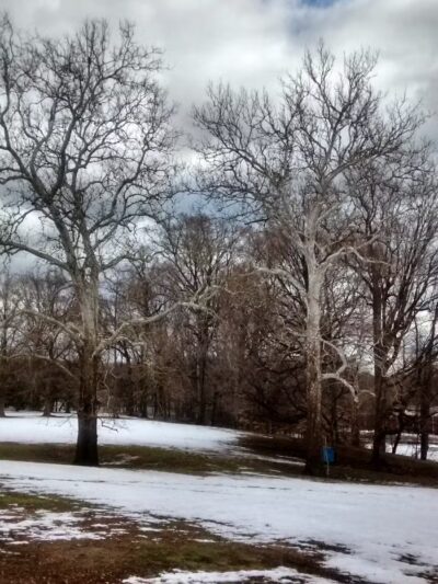 Morrow Park - Englewood, NJ