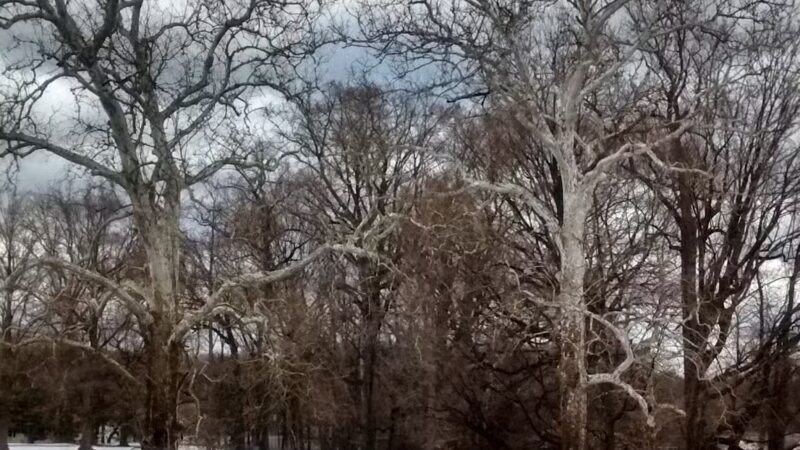 Morrow Park - Englewood, NJ