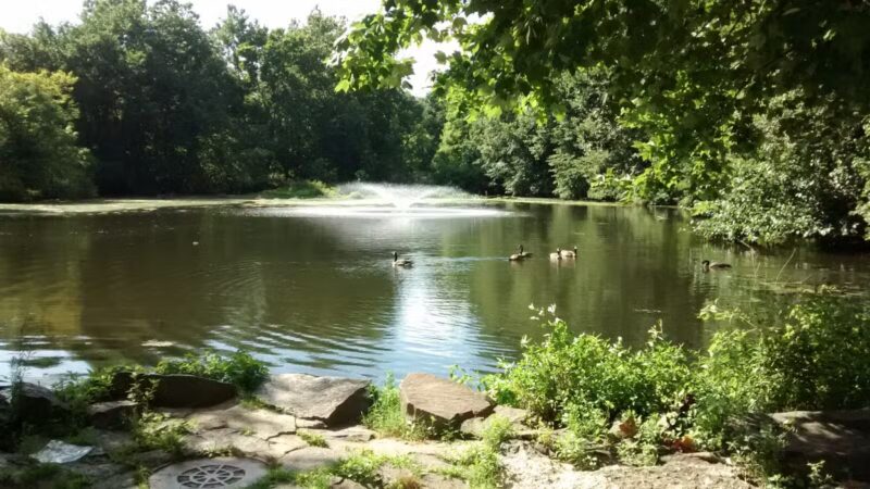 Morrow Park - Englewood, NJ