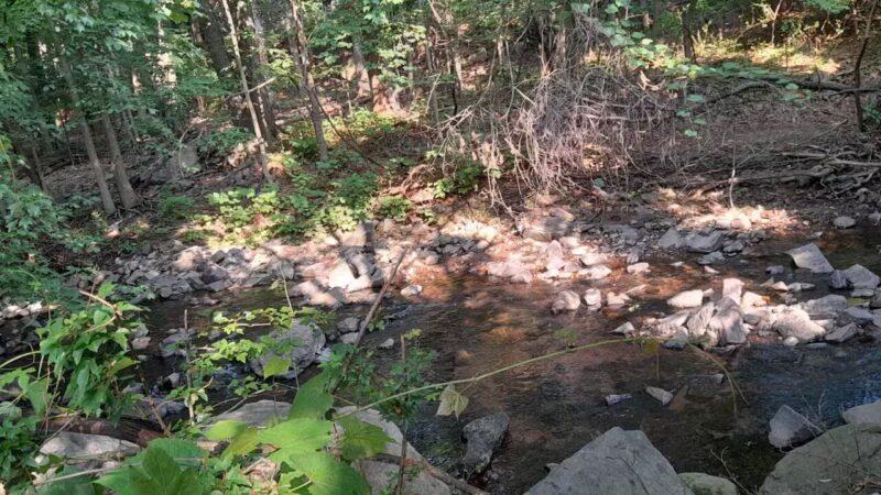 Trumbull Park - Englewood, NJ