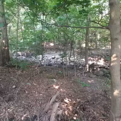 Trumbull Park - Englewood, NJ