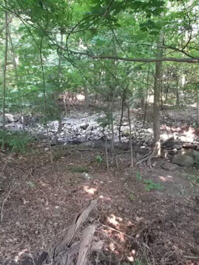 Trumbull Park - Englewood, NJ