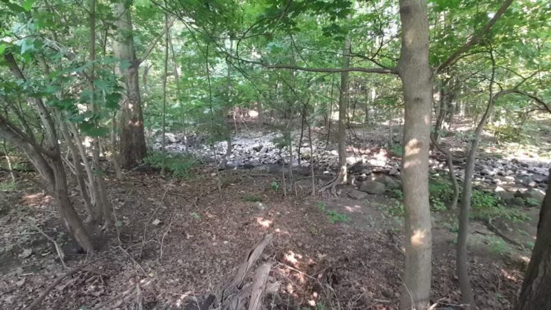 Trumbull Park - Englewood, NJ