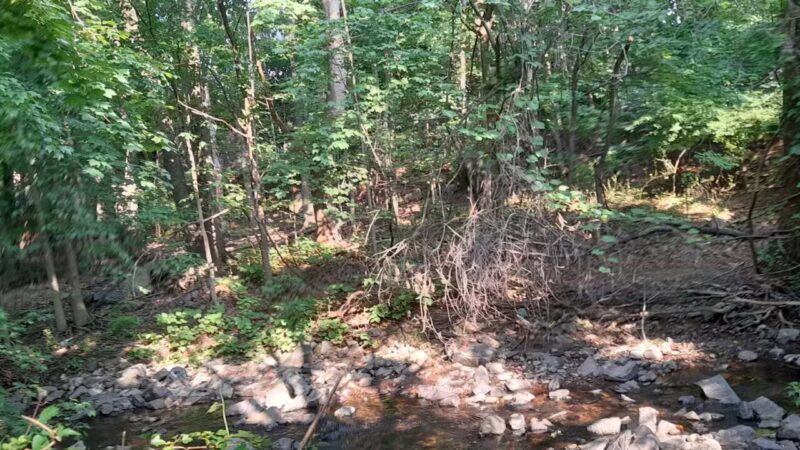 Trumbull Park - Englewood, NJ