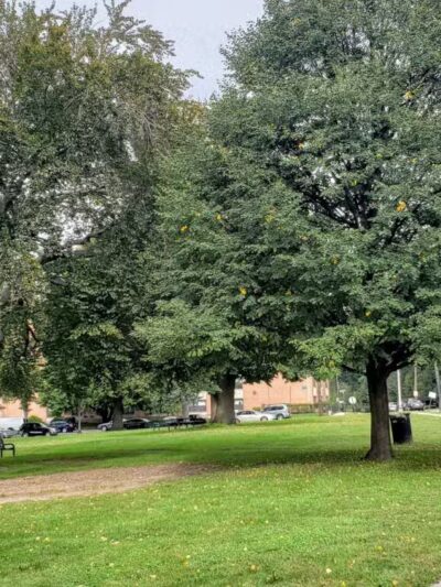 Veterans Memorial Park - Englewood, NJ