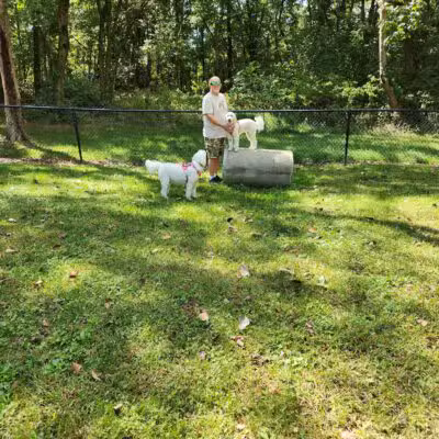 Bark Park - Erwin, TN