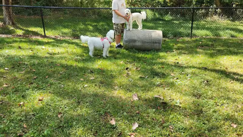 Bark Park - Erwin, TN