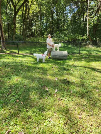 Bark Park - Erwin, TN