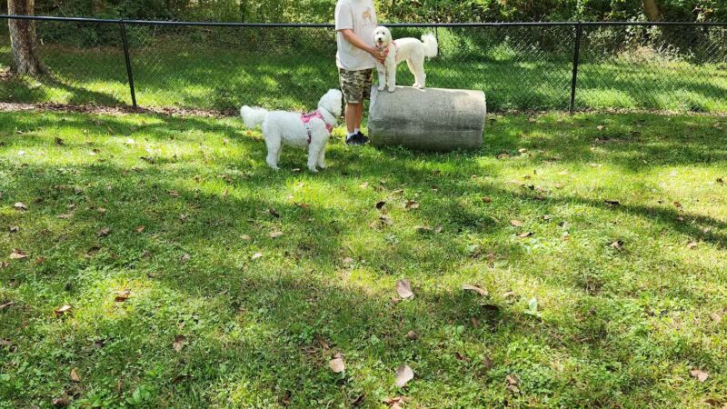 Bark Park - Erwin, TN