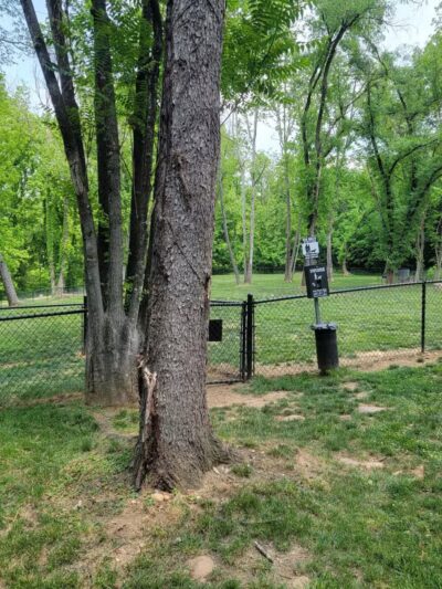 Bark Park - Erwin, TN