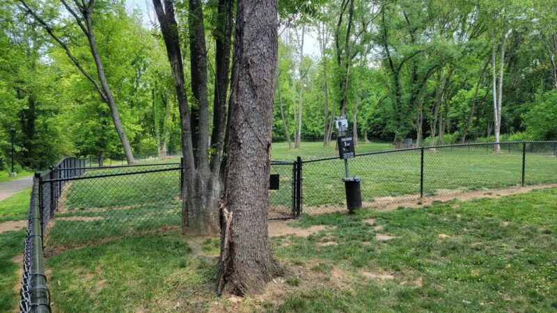 Bark Park - Erwin, TN