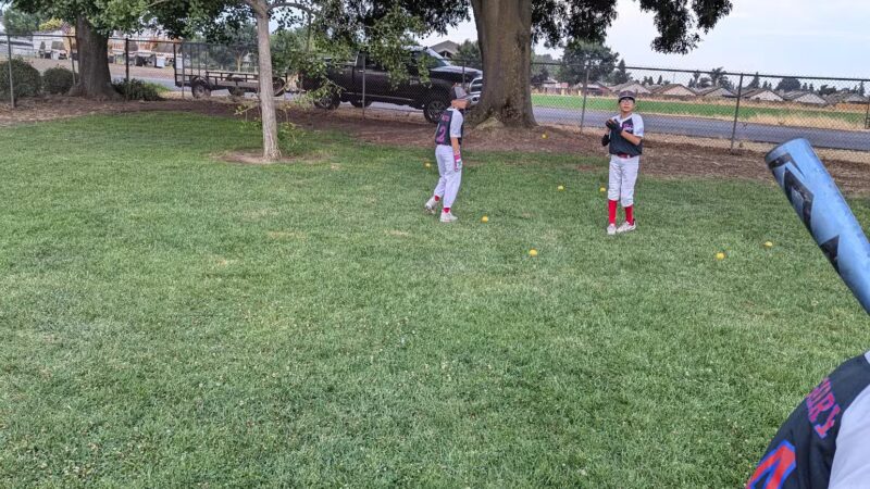 Hogan Park - Escalon, CA