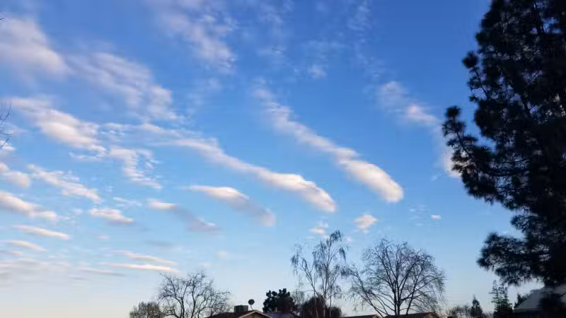 Sanchez Park - Escalon, CA