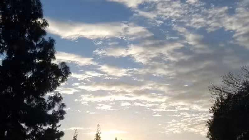 Sanchez Park - Escalon, CA