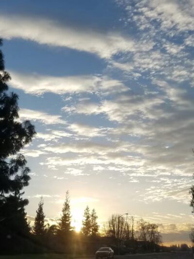 Sanchez Park - Escalon, CA