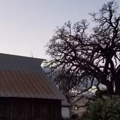 Shadowood Park - Escalon, CA