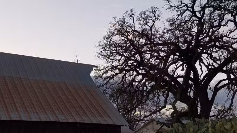 Shadowood Park - Escalon, CA