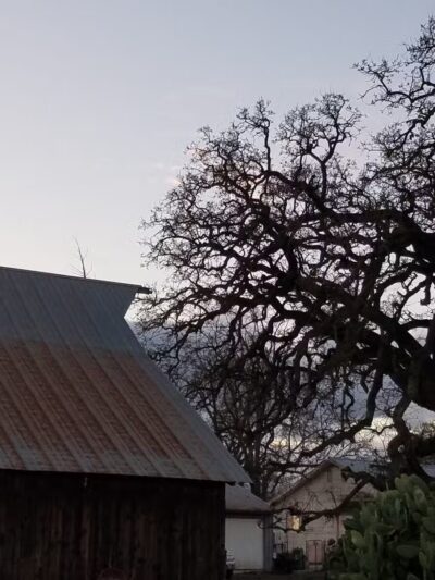 Shadowood Park - Escalon, CA