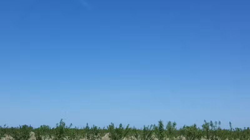 Shadowood Park - Escalon, CA