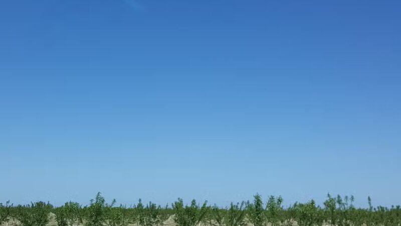 Shadowood Park - Escalon, CA