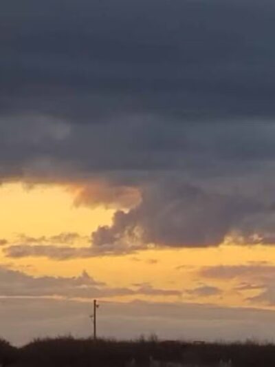 Shadowood Park - Escalon, CA