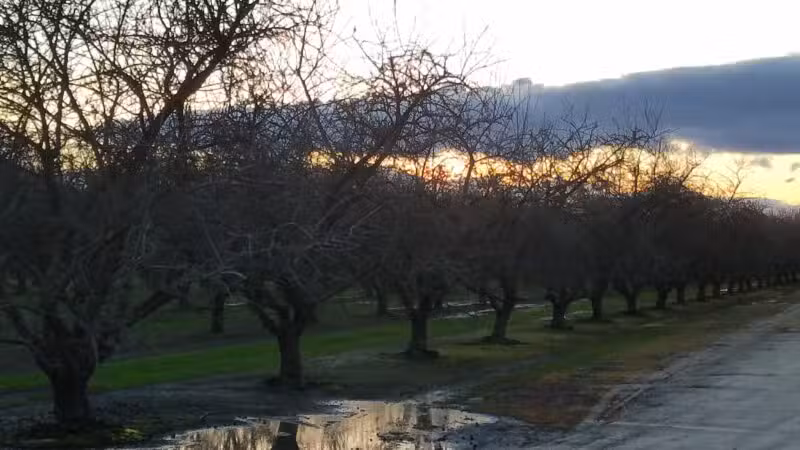 Shadowood Park - Escalon, CA