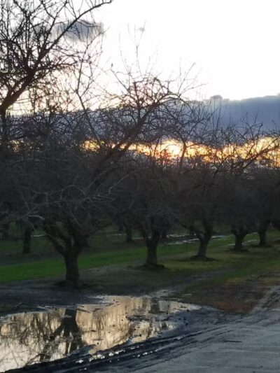 Shadowood Park - Escalon, CA