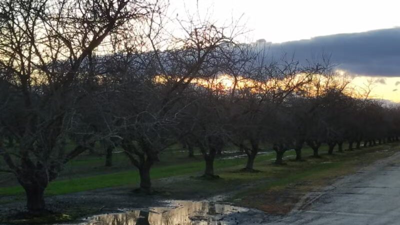 Shadowood Park - Escalon, CA