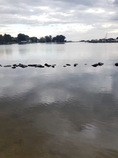 Pottery Farm Park - Essex, MD