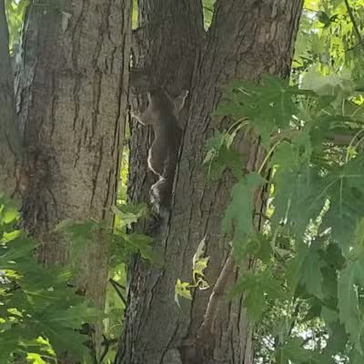 Sussex Community Park - Essex, MD