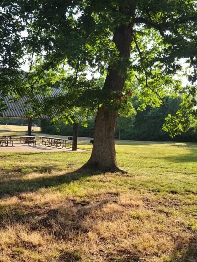 The Fields At Renaissance Park - Essex, MD