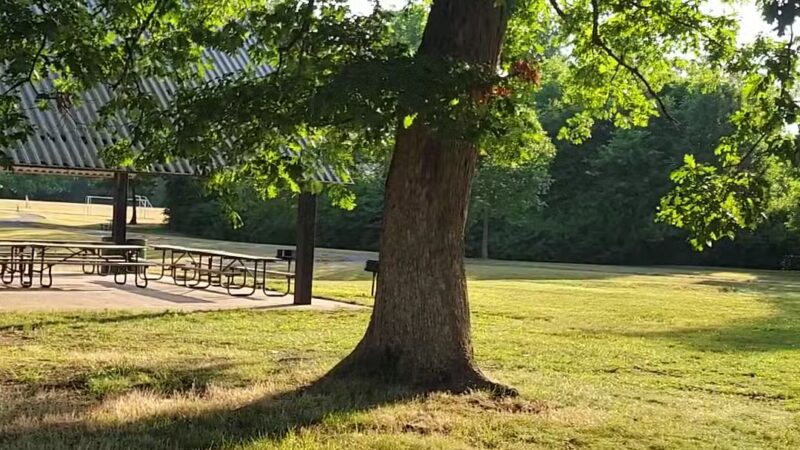 The Fields At Renaissance Park - Essex, MD