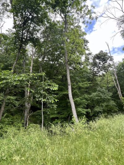 Everett trailhead Huntingdon and Broad Top Rail - Everett, PA
