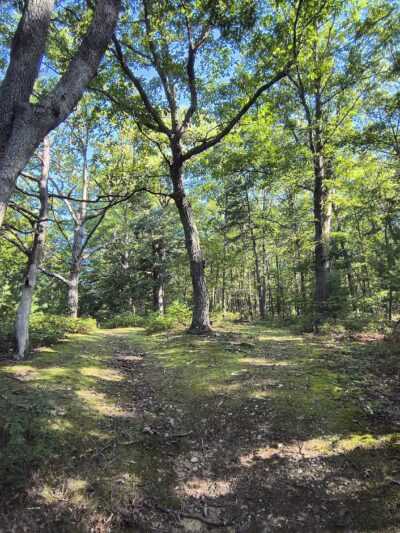 Tenley Park - Everett, PA