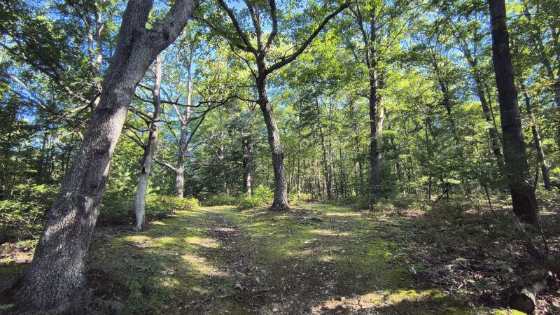 Tenley Park - Everett, PA