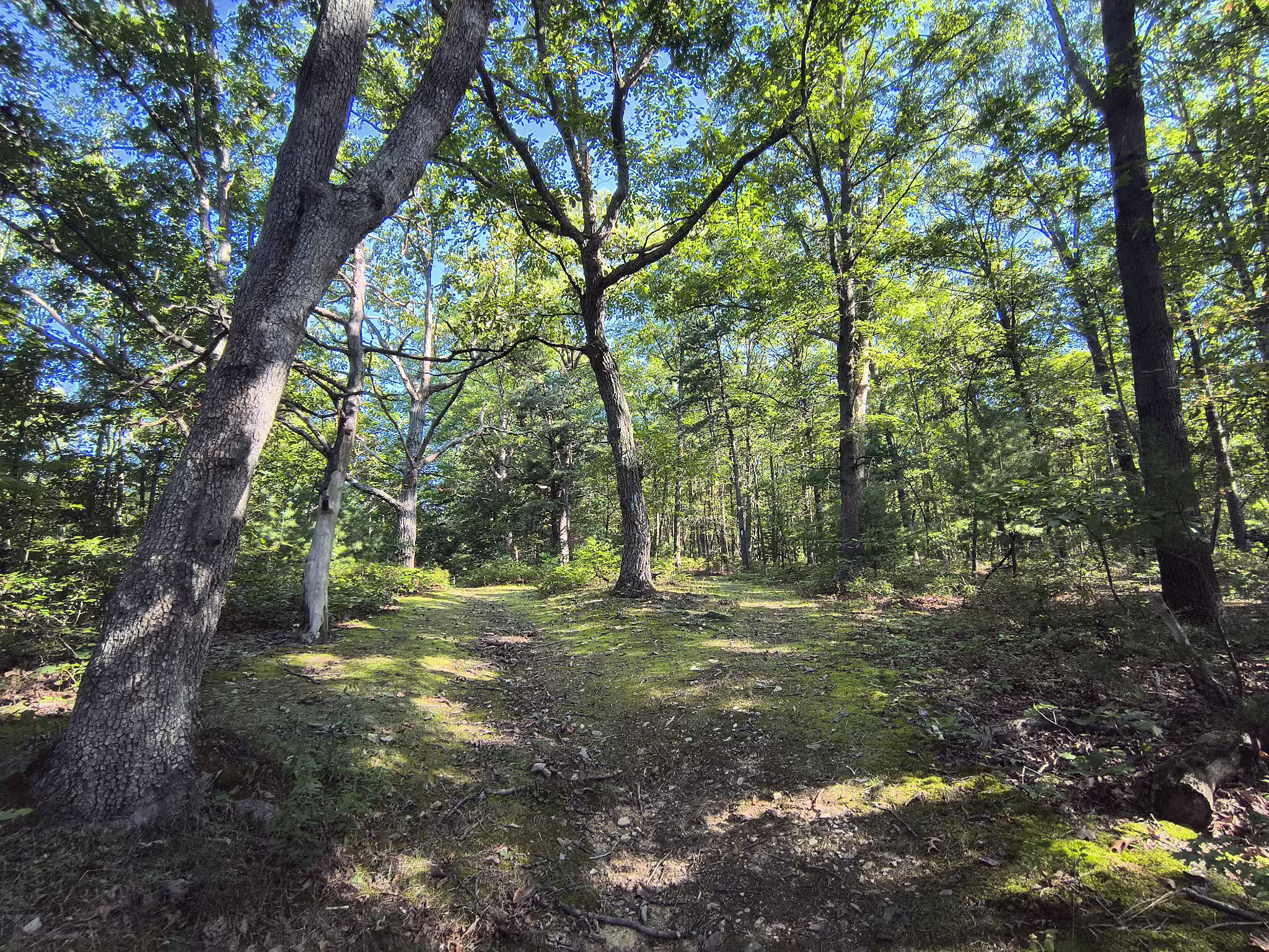 Tenley Park - Everett, PA