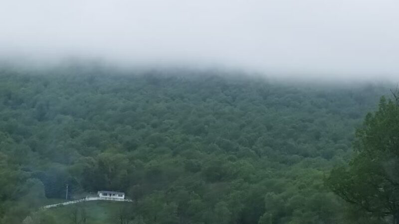 Tenley Park - Everett, PA