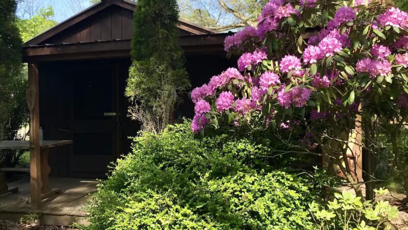 Woy Bridge Campground - Everett, PA