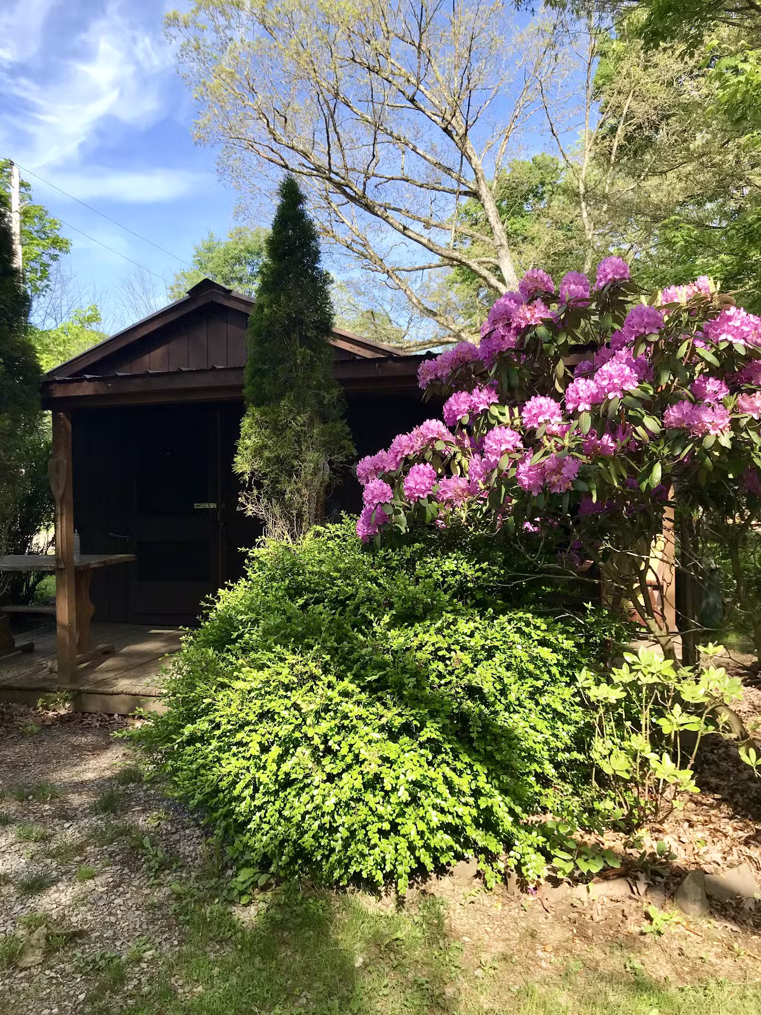 Woy Bridge Campground - Everett, PA