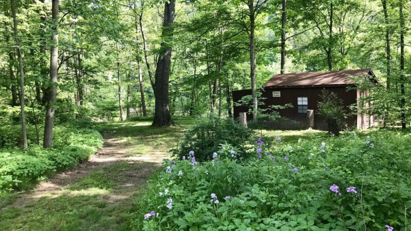Woy Bridge Campground - Everett, PA