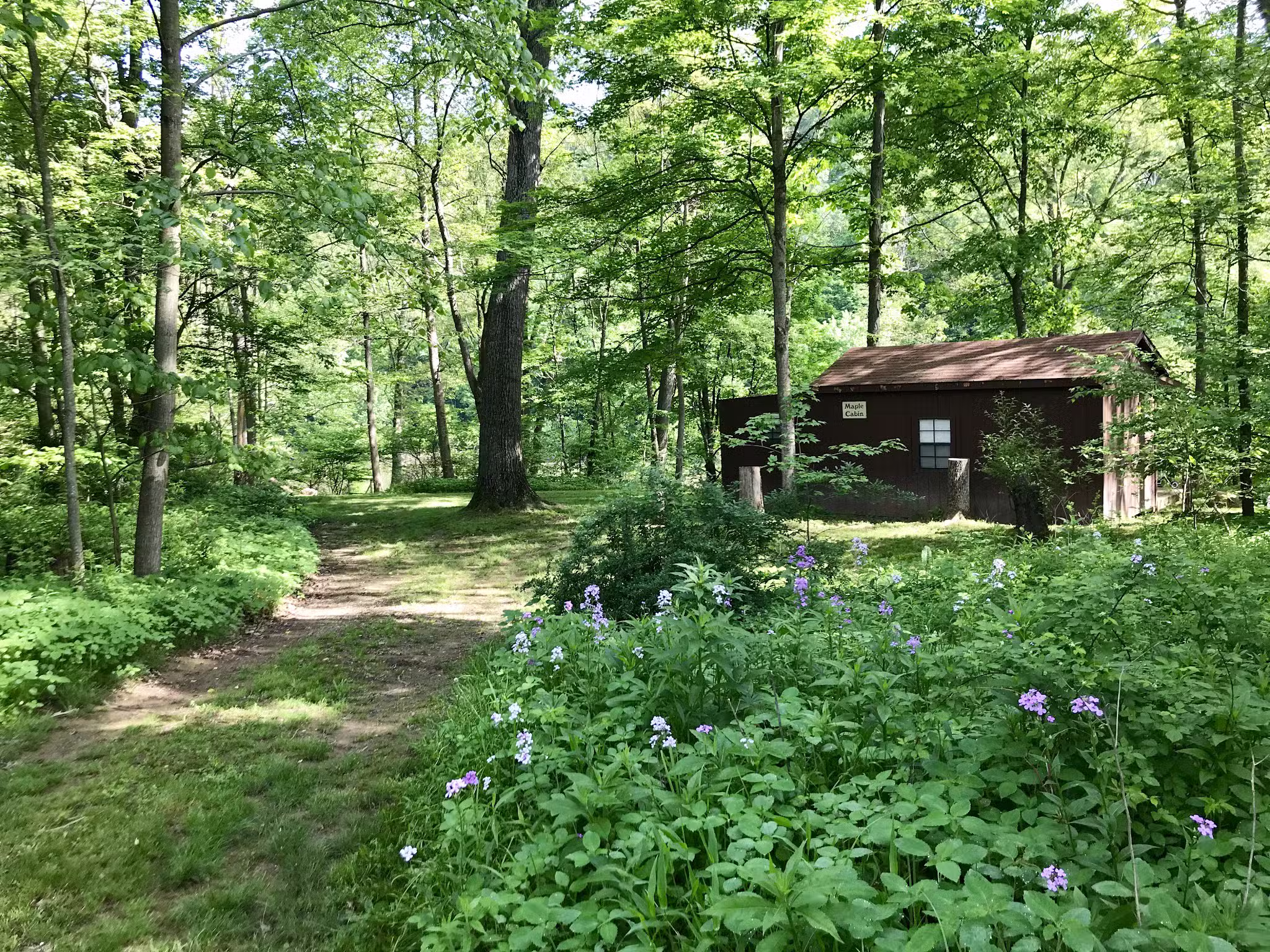 Woy Bridge Campground - Everett, PA