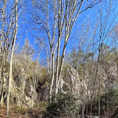 Hensley's Settlement Trailhead - Ewing, VA
