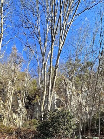 Hensley's Settlement Trailhead - Ewing, VA